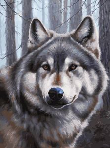 Белоснежка Волк