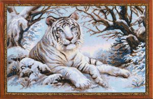 Риолис Бенгальский тигр