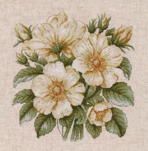 Овен Дикий шиповник