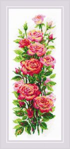 Риолис Июльские розы
