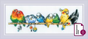 Риолис Попугайчики