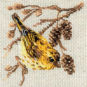 Риолис Чижик