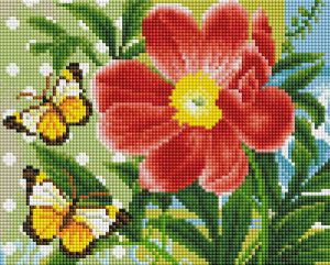 Белоснежка Бабочки и цветок