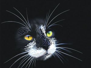 Матрёнин Посад Чёрный кот