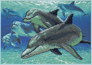 Dimensions Глубоководные дельфины