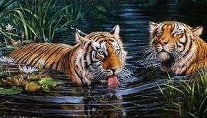Гранни Тигры в воде