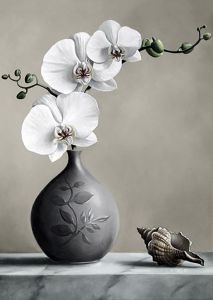 Гранни Белая орхидея