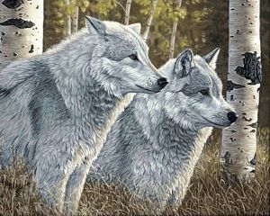 Гранни Лесные волки