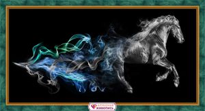 Алмазная Живопись Конь в дыму