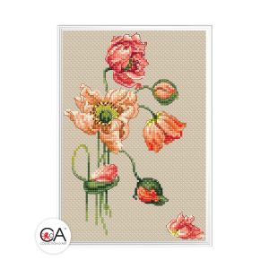 Collection D'Art Мак