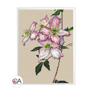 Collection D'Art Клематис