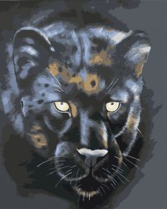 Color Kit Чёрная пантера