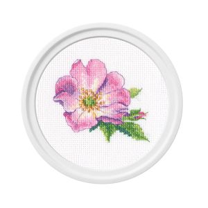 RTO Шиповник