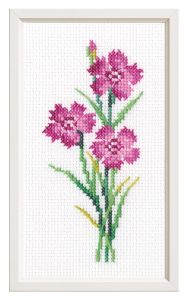 RTO Гвоздика