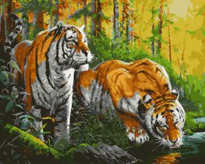Paintboy Тигры на водопое