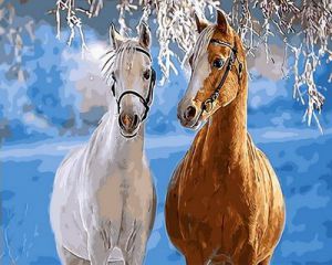 Цветной Парочка лошадей