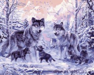 Цветной Ночные волки