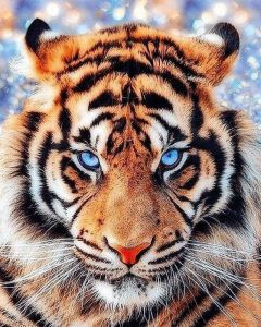 Цветной Взгляд тигра