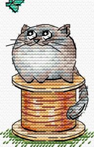 Жар-птица Под пристальным взглядом