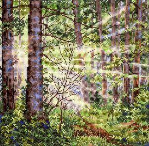 М.П. Студия Солнечный лес