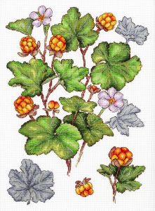 М.П. Студия Морошка