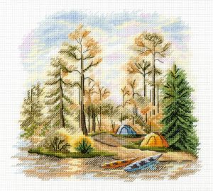 М.П. Студия В сосновом лесу