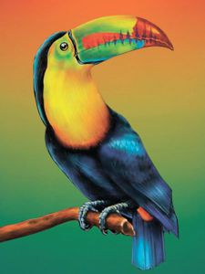 Цветной Тропическая птица