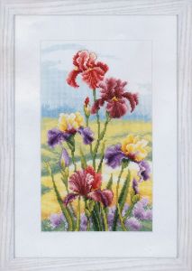 Vervaco Ирисы на рассвете