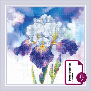 Риолис Цветение ириса