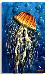 Магия Хобби Красавица морей, медуза